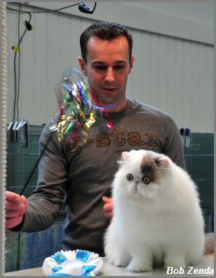 D'Eden Lover  Casper